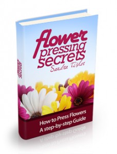 How to Press Flowers with these Flower Pressing Secrets! - Craft and Create
